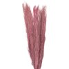 Clayre & Eef 5DF0015 Sušené květiny 100 cm (15) Hnědý