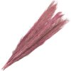 Clayre & Eef 5DF0015 Sušené květiny 100 cm (15) Hnědý