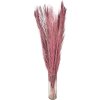 Clayre & Eef 5DF0015 Sušené květiny 100 cm (15) Hnědý