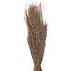 Clayre & Eef 5DF0020 Sušené květiny 55 cm (100 gr) Béžová barva