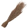 Clayre & Eef 5DF0020 Sušené květiny 55 cm (100 gr) Béžová barva