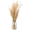 Clayre & Eef 5DF0020 Sušené květiny 55 cm (100 gr) Béžová barva