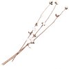 Clayre & Eef 5DF0030 Sušené květiny 80 cm (3) Bílá - Hnědá