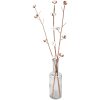 Clayre & Eef 5DF0030 Sušené květiny 80 cm (3) Bílá - Hnědá