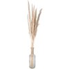 Clayre & Eef 5DF0034 Sušené květiny 100 cm (10) Béžová barva