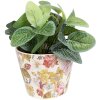 Clayre & Eef 6CE1562XS Dekorace Květináč Ø 12x10 cm Růžová - Béžová