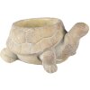 Clayre & Eef 6TE0458 Květináč Želva Ø 22x16x10 cm Béžový