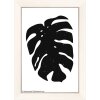 Dřevěný rám Walther Liv Monstera 10x15 cm až 30x40 cm