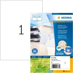 HERMA 10738 Recyklované papírové...