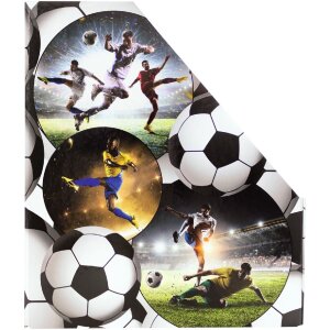 HERMA 19716 Kartonový organizér A4 s fotbalovým designem s otvorem pro uchopení