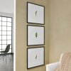 Nielsen Quadrum dřevěný rám 50x50 cm černá borovice normální sklo