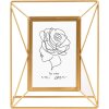 Goldbuch kovový obrazový rám Saluzzo zlatý 10x15 cm