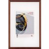 Dřevěný rám Walther Select 30x40 cm hnědé umělecké sklo