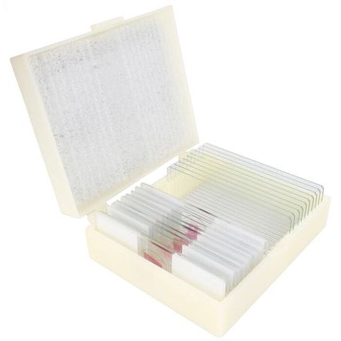 Cone Preparateset Lidské tělo 25 kusů Mikroskopie Biologie Výukový materiál