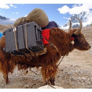 Explorer Cases 2712HL.B Přepravní kufr s pěnou černý 276x200x120 mm
