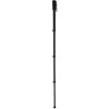 Monopod Nest WT-1003 H171 cm