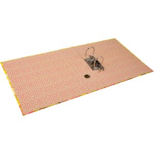 Goldbuch složka s motivem Akira 5 cm hřbetní dvoukroužková mechanika