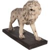 Clayre & Eef Dekorativní lev 55x23x40 cm béžovo-hnědý