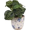 Clayre & Eef 6CE1658XS Dekorace Květináč Ø 11x10 cm Béžová modrá
