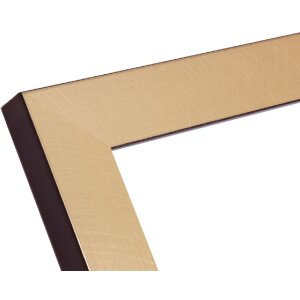 Deknudt S47BB2 zlatý/černý rám na obrazy 40x50 cm plastový