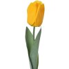Clayre & Eef 6PL0235 Umělý květ Tulipán žlutý 6x6x50 cm