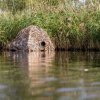 Buteo Photo Gear maskovací síť 4 rákos/tráva 1,5x3 m