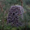 Buteo Photo Gear hybridní maskovací síť přírodní zelená 1,5x3 m