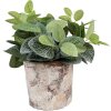 Clayre & Eef 6TE0523M Květináč terakota béžová Ø 18x15 cm venkovský styl