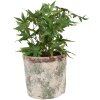 Clayre & Eef 6TE0526XL Květináč terakota béžová Ø 18x16 cm venkovský styl