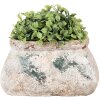 Clayre & Eef 6TE0536S Květináč 17x13x9 cm