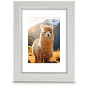 Plastový rám Hama vzhled dřeva Lima olivový grafitový šedý dub Různé formáty