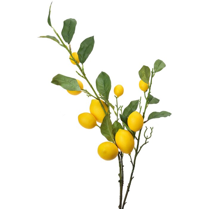 Clayre & Eef 5PL0105 Dekorace větvička s citrony 20x7x102 cm