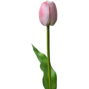 Clayre & Eef 6PL0311 Umělý tulipán...
