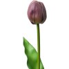 Clayre & Eef 6PL0312 Umělý květ tulipán fialový 4x4x32 cm