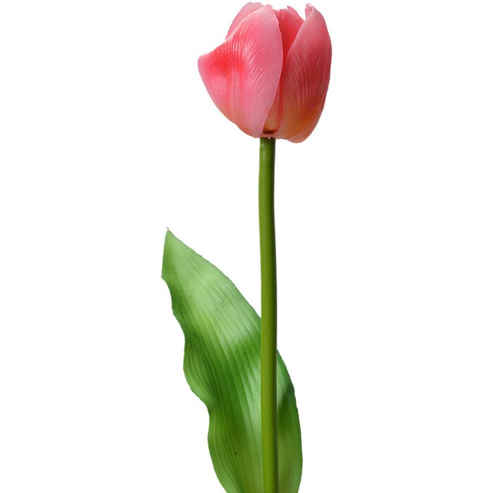 Clayre & Eef 6PL0313 Umělé květiny Tulipán růžový 4x4x32 cm plastové