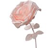 Clayre & Eef 50780 Dekorace Rose Ø 33x100 cm