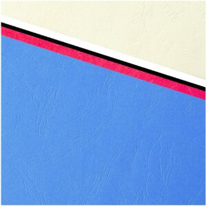 Exacompta 2789C Obal 100 balení Evercover 270g kožený reliéf DIN A4