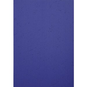 Exacompta 2790C Kožený reliéfní obal...