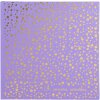 Exacompta 16393E Fotoalbum 30 stran bílé 25x25cm Plum Violet