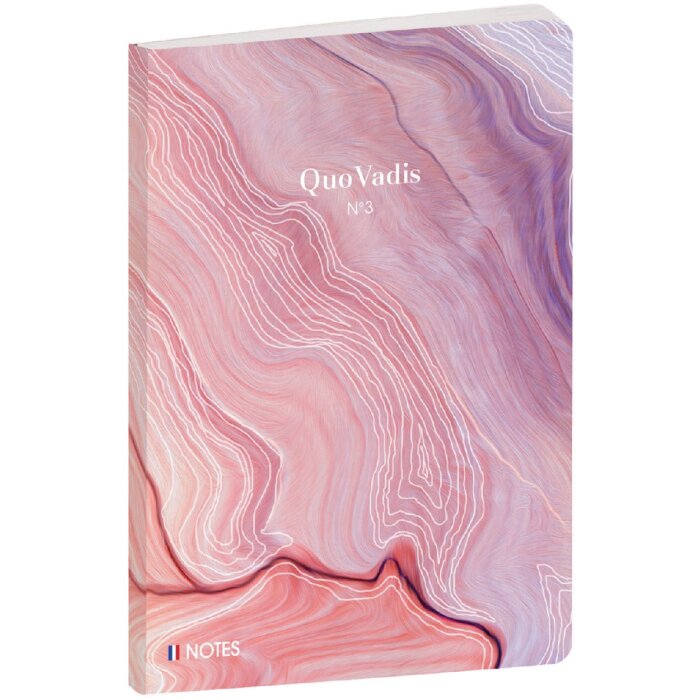 Quo Vadis Zápisník Iconic Multicoloured Lined 15x21 cm