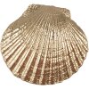 Clayre & Eef 65732 Mušle na kliku 6x4x6 cm Zlatá polyresinová barva