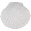 Clayre & Eef 65734 Dveřní klika Shell White Polyresin 6x4x6 cm Vintage Style
