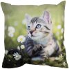 Clayre & Eef KT021.370 Povlak na polštář zelený šedý 45x45 cm Polyester