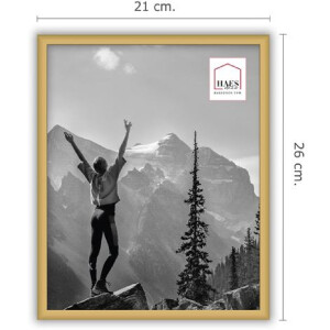 Haes Deco EF12G Easy Frame Zlatý plastový rám 20x25 cm