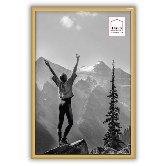 Haes Deco EF4G Easy Frame Plastový fotorámeček zlatý 20x30 cm