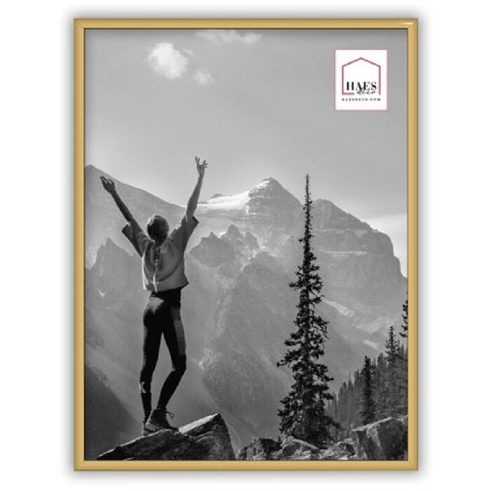 Plastový fotorámeček Haes Deco Easy Frame Gold 30x40 cm