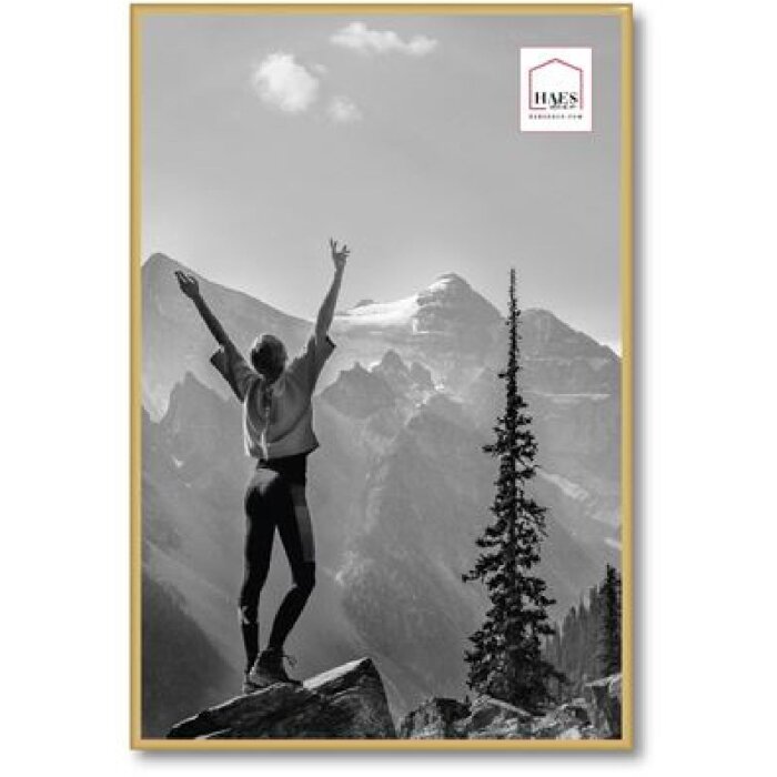 Plastový fotorámeček Haes Deco EF9G Easy Frame Gold 40x60 cm zadní panel MDF