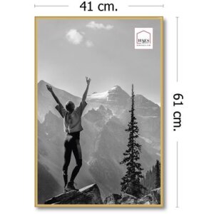 Plastový fotorámeček Haes Deco EF9G Easy Frame Gold 40x60 cm zadní panel MDF