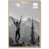 Plastový fotorámeček Haes Deco EF9G Easy Frame Gold 40x60 cm zadní panel MDF