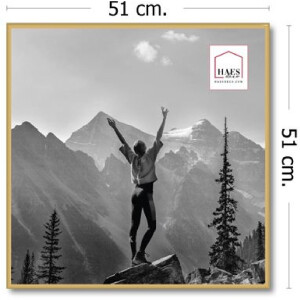 Haes Deco Easy Frame plastový fotorámeček zlatý 50x50 cm
